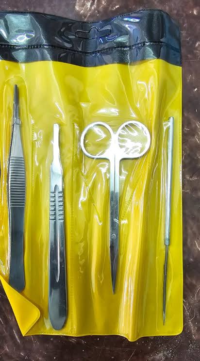 أدوات تشريح 4 قطع – جودة عالية لطلاب الكليات العملية